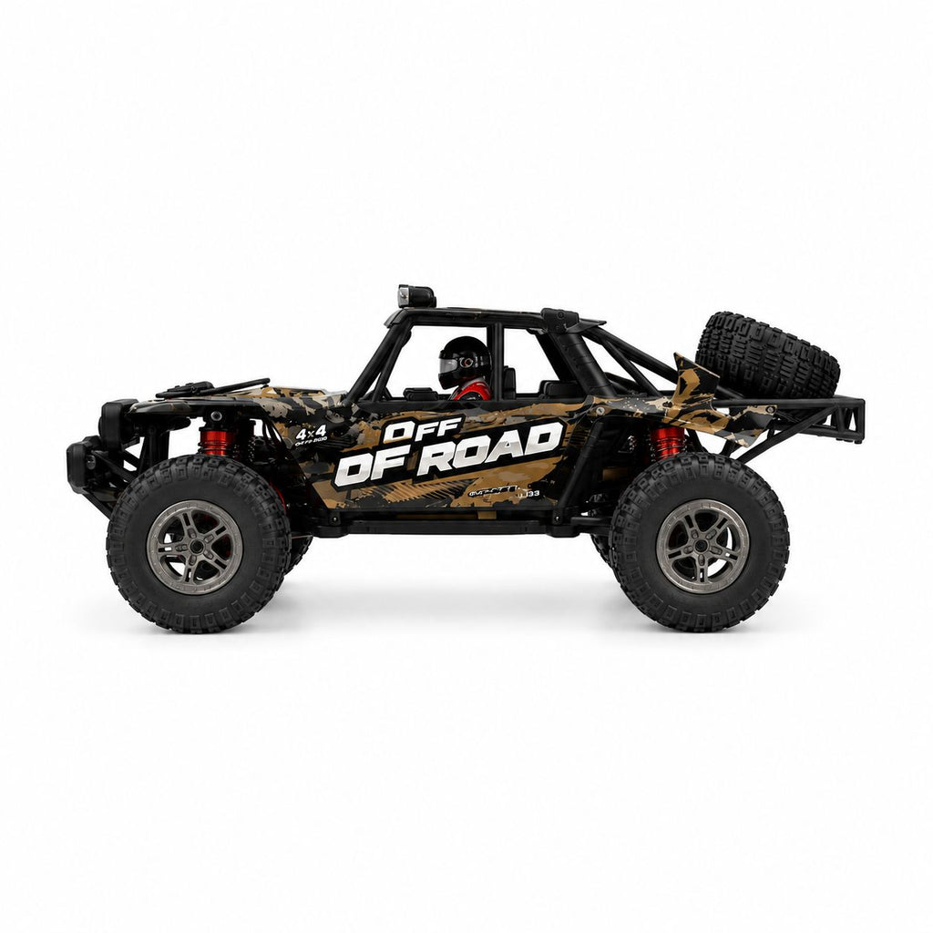 60KM/H+ 208E High-Speed Off Road RC Car