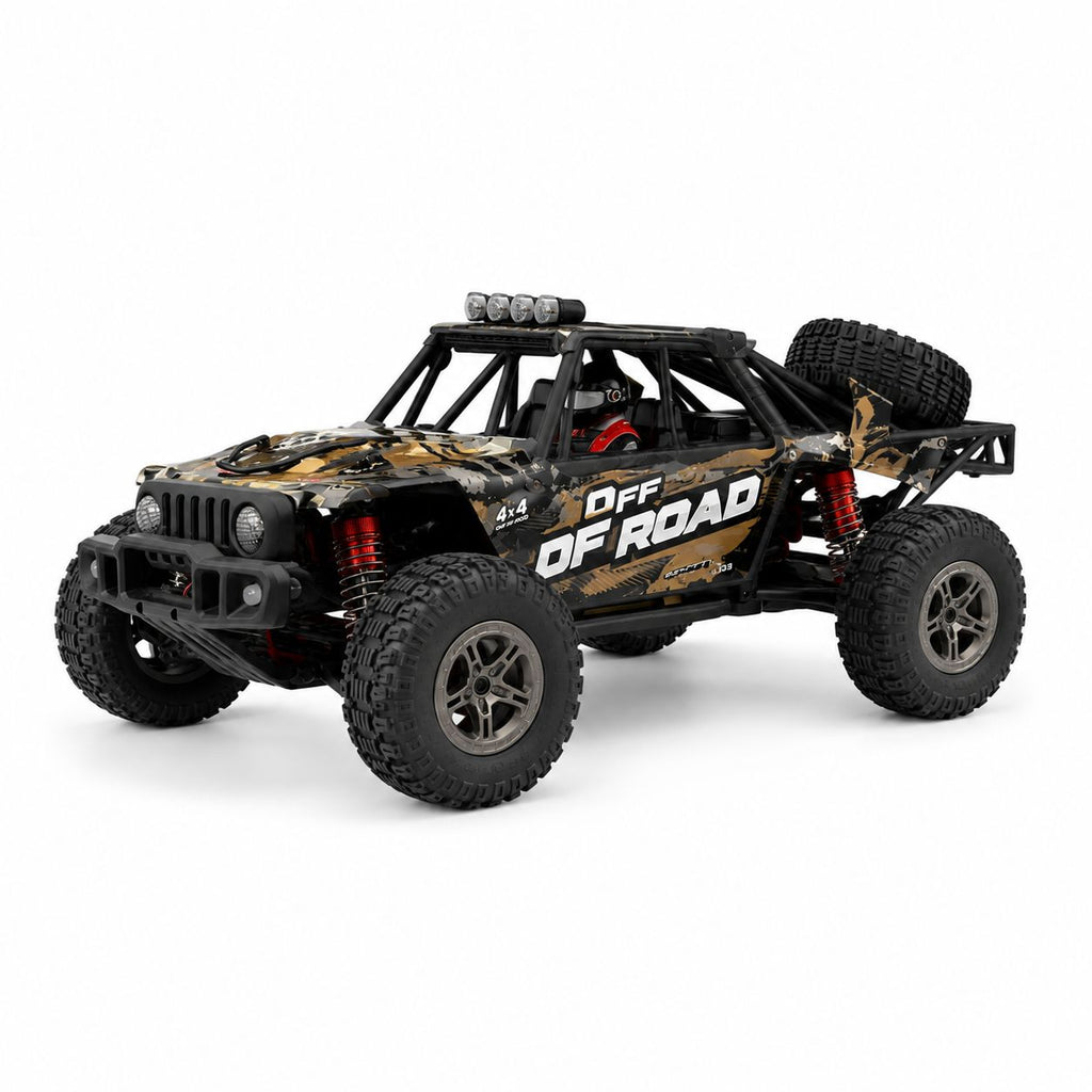 60KM/H+ 208E High-Speed Off Road RC Car