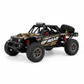 60KM/H+ 208E High-Speed Off Road RC Car
